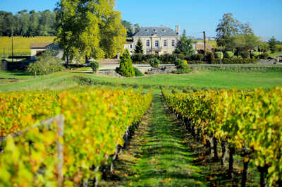 Rows of certified organic vines stretch out from the estate, cultivated since 1837 in the heart of the Côtes de Bourg.