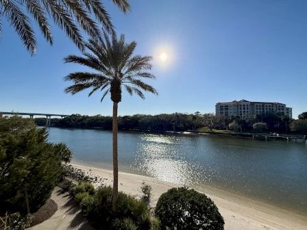 image Waterway and sandy beach framed by palm trees, with a residential building alongside
