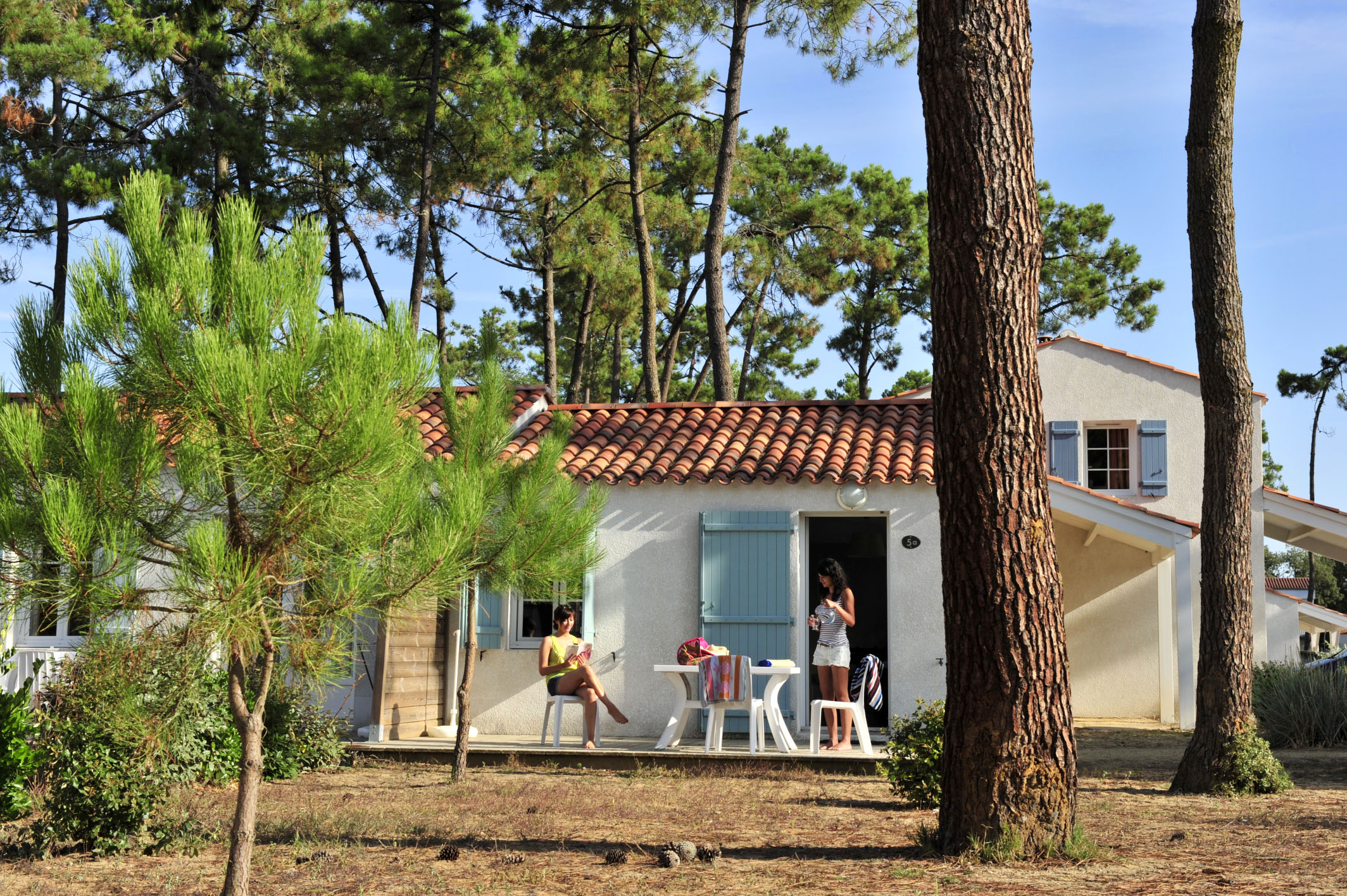 image Relax on the terrace beneath the pines, just steps from the path down to Conches beach.
