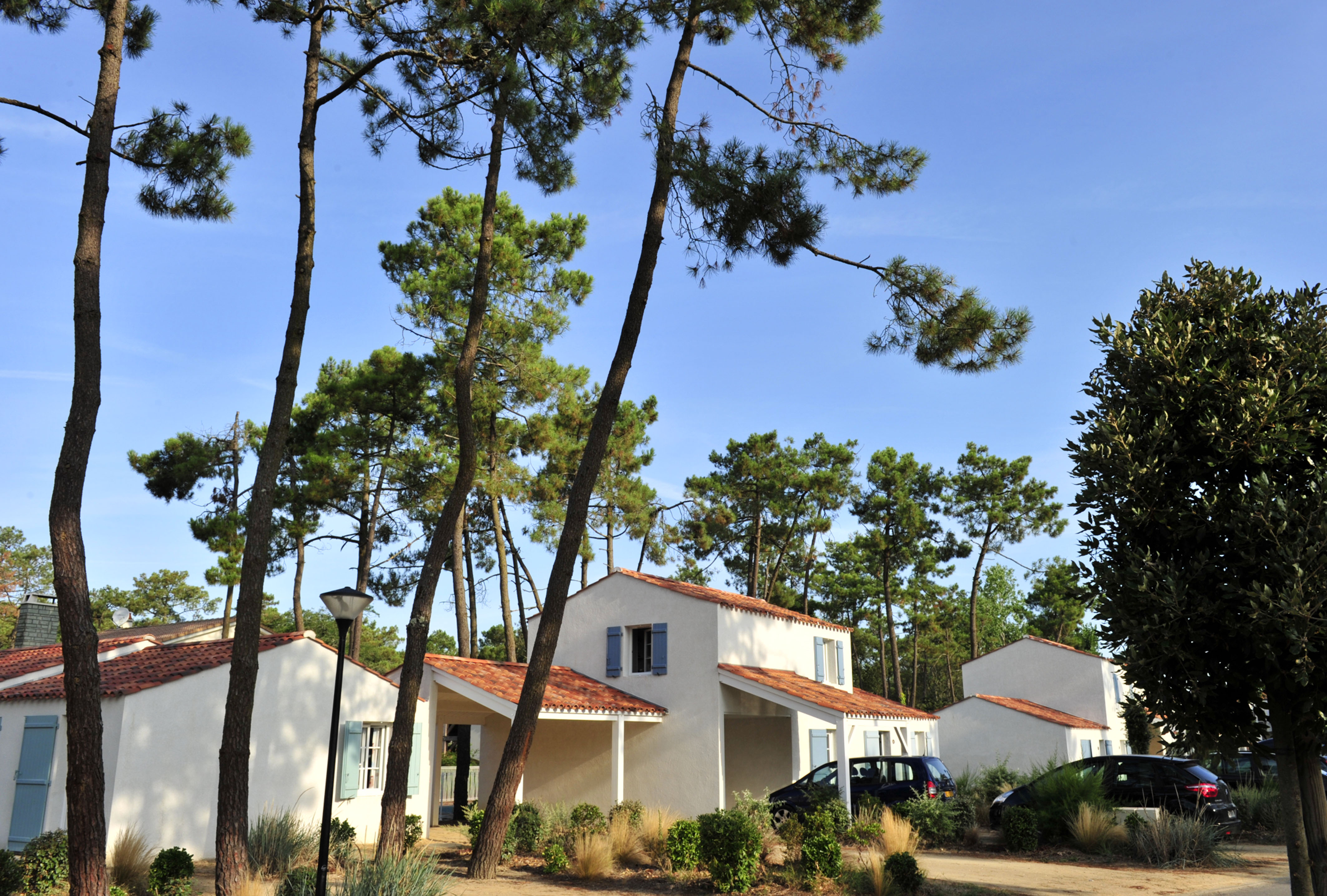 image Semi-detached houses sit spaced beneath the pines, with parking just outside your door.