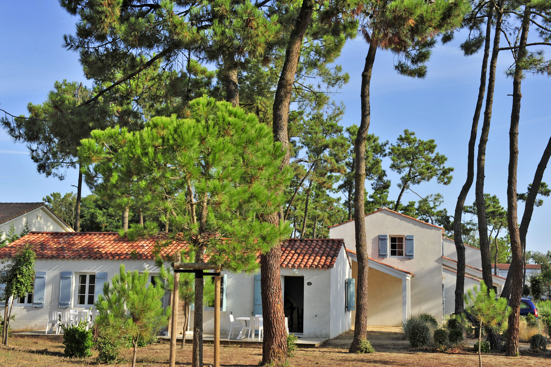 image Blue shutters and a red-tiled roof sit tucked among the pines, just a short walk from the pool.
