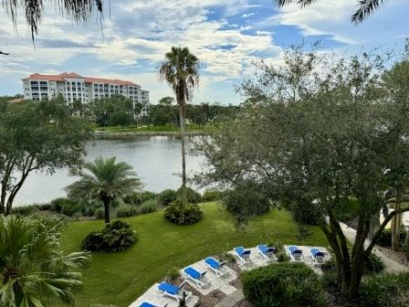 image Community pool area surrounded by palms — sun loungers and shade for the whole group