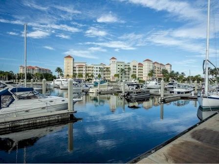 image Marina view with gleaming yachts at their slips — dolphins are known to surface along this stretch