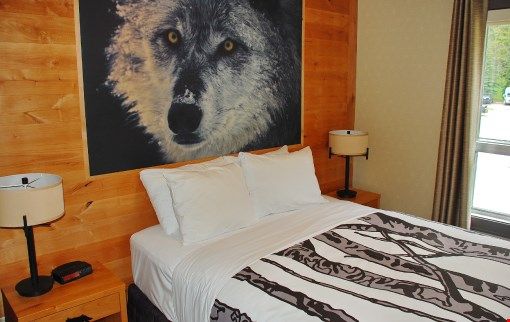 image Drift to sleep in one of the comfortable bedrooms, featuring wolf-themed decor.