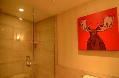 Take a shower in the moose-themed bathroom with accessible features.