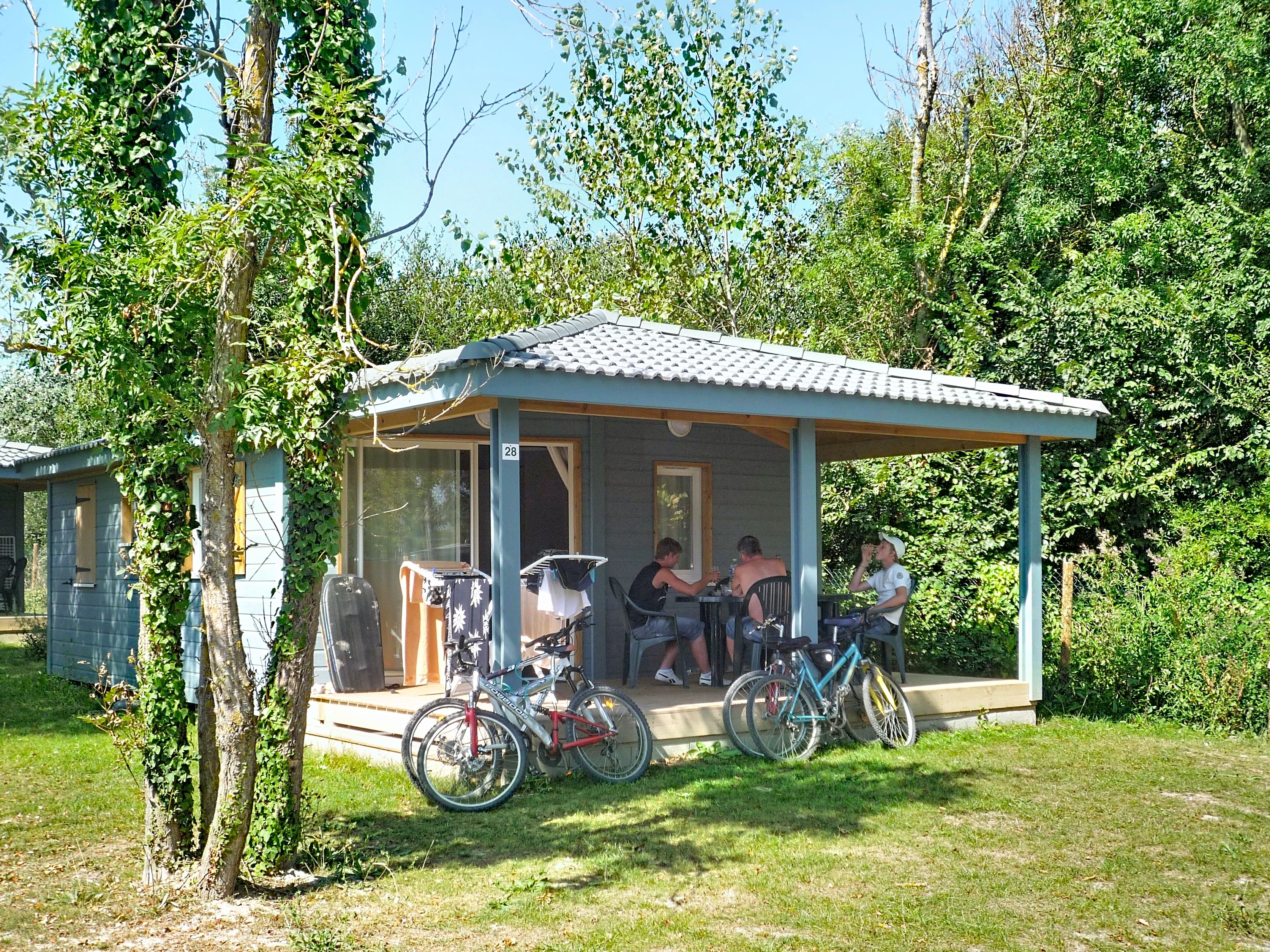 image Bicycles are parked on the grass in front of the cottage, with the porch table set for company.