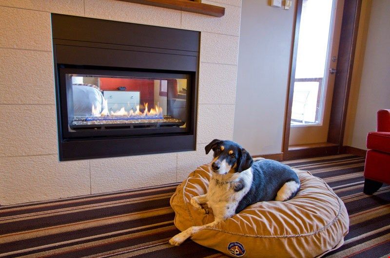 image Please let us know in advance if you would like to bring your pet.
