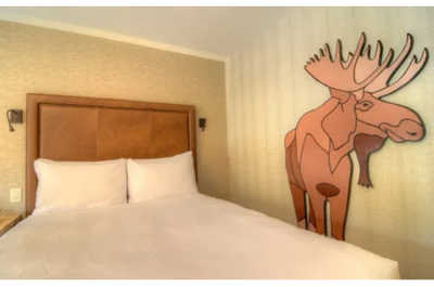 Moose-themed decor for the ultimate Canadian experience!