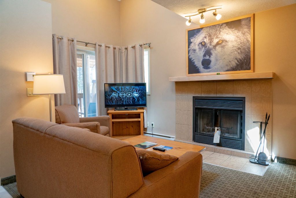 image A modern living area with homey touches.