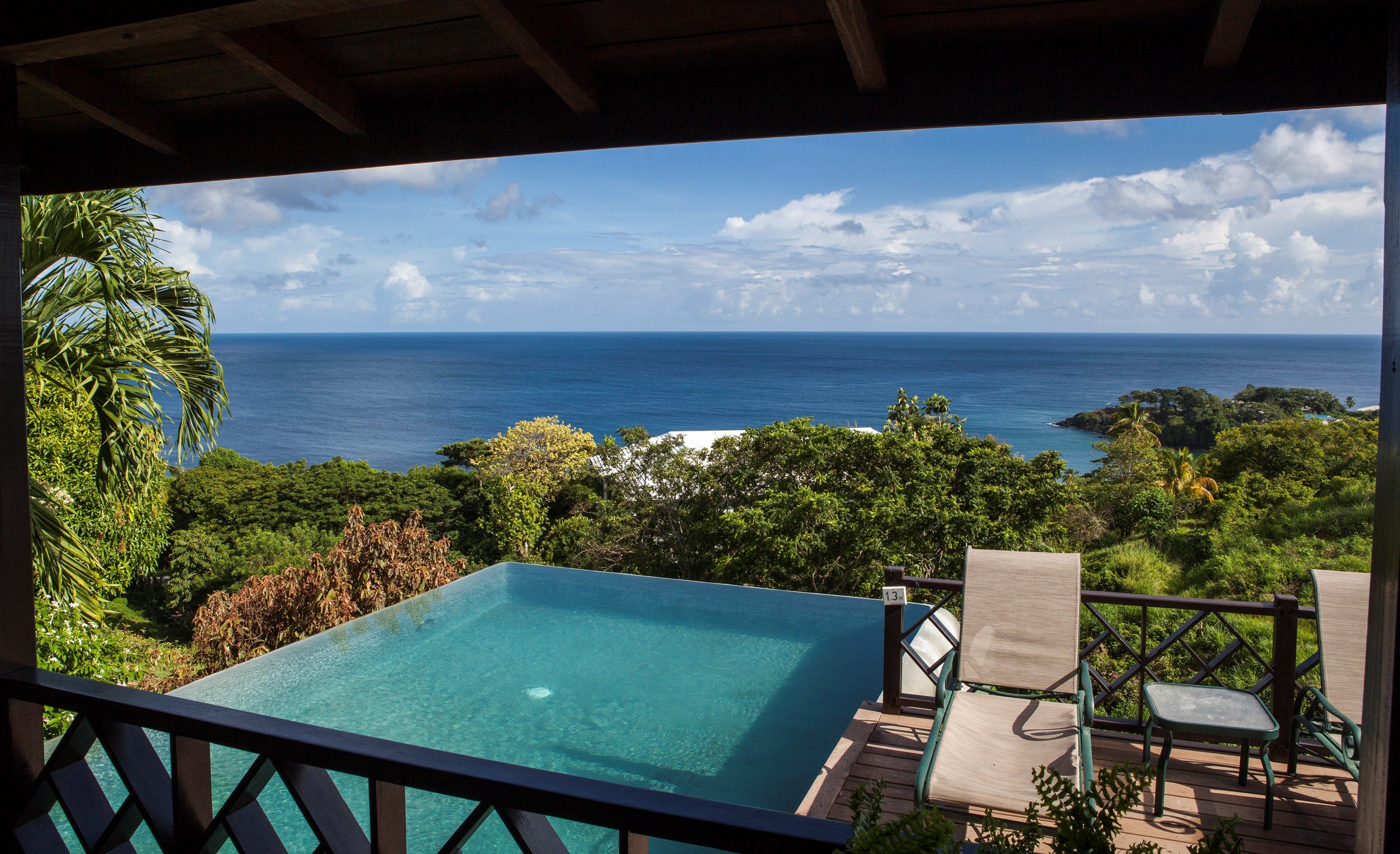 image Dive into your gorgeous infinity pool and soak up the sunshine.