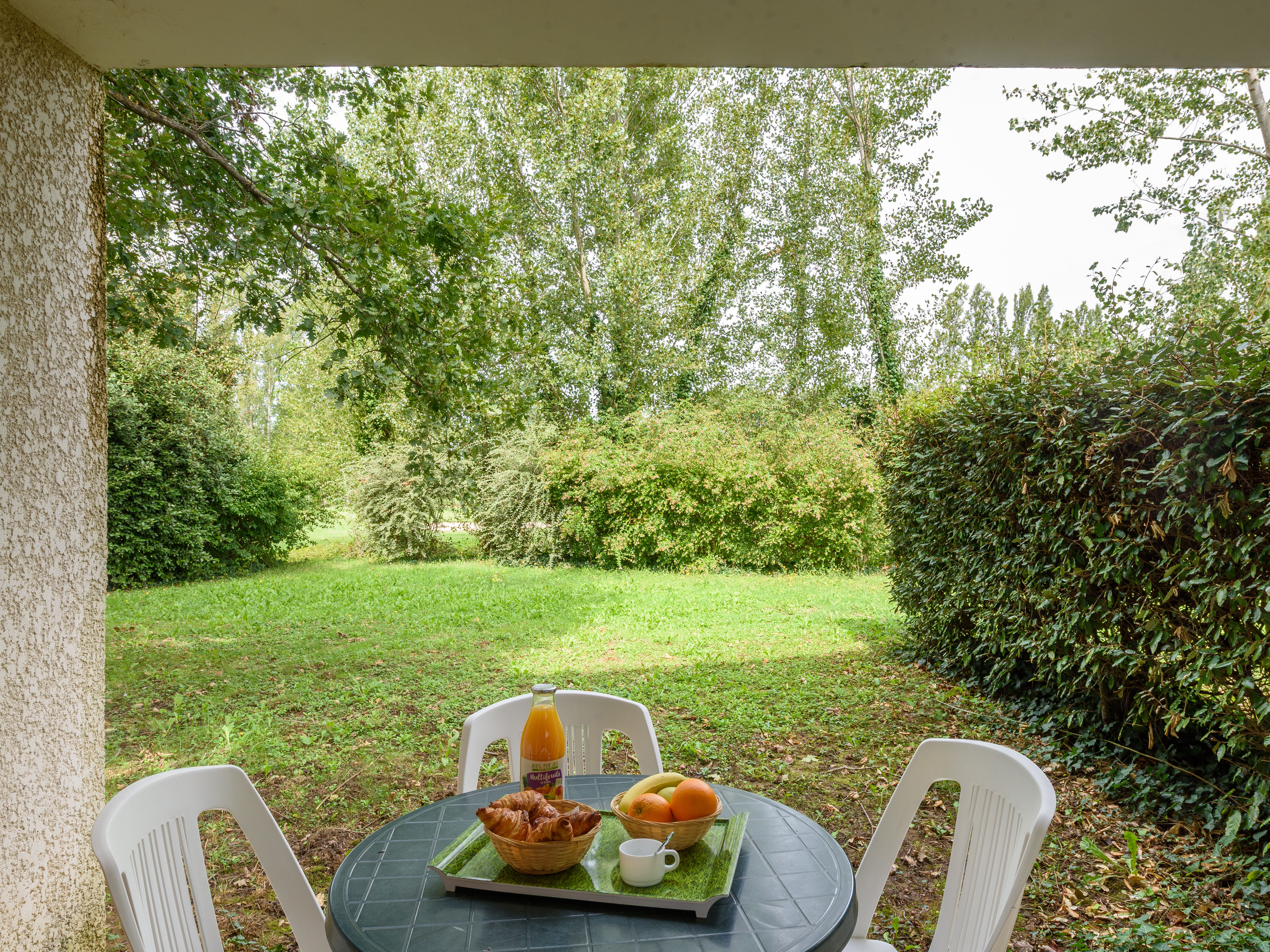 image Enjoy serene outdoor moments on the cozy patio, surrounded by lush greenery and a delightful breakfast spread of pastries and fresh fruit.