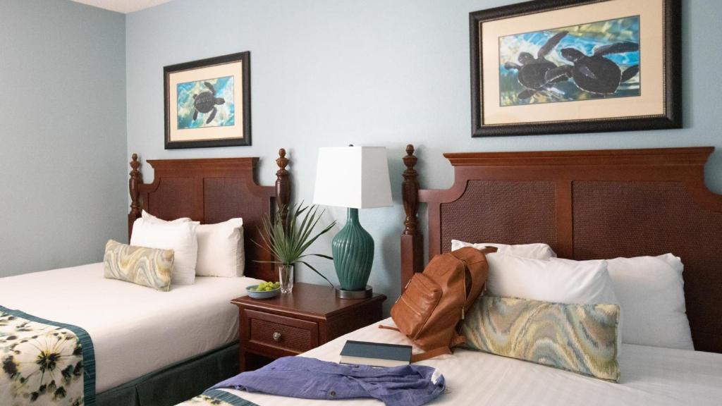 image The bedrooms are comfy!