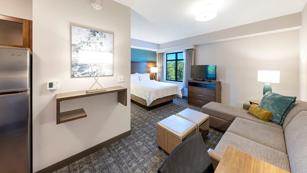 image Discover a spacious studio featuring a kitchenette, a sofa, and a bed positioned near large windows.