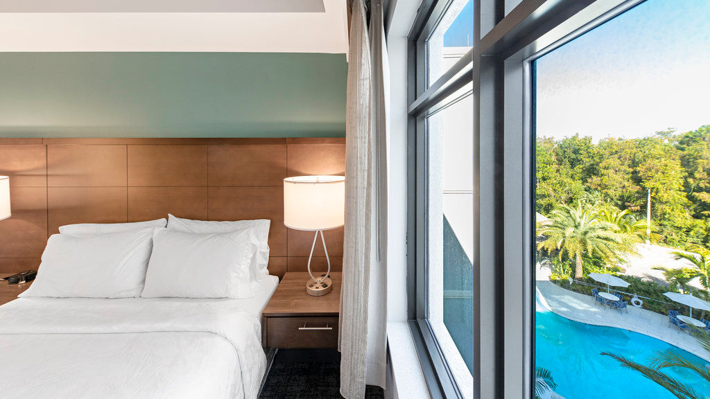 image The room features a queen bed, bedside lamp, and a large window overlooking the outdoor pool and palm trees.