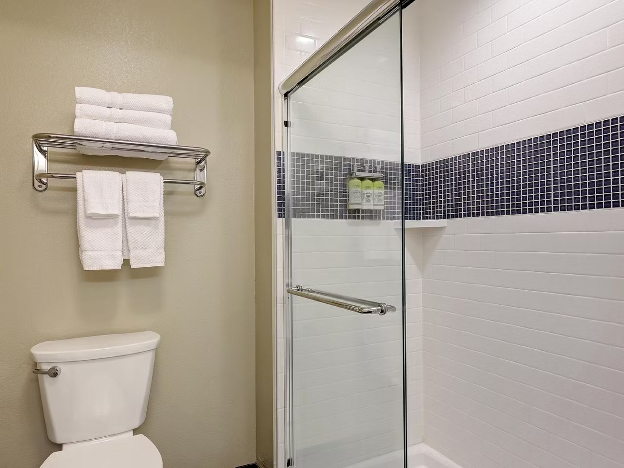 image Relax in the shower area featuring stylish finishes and amenities.