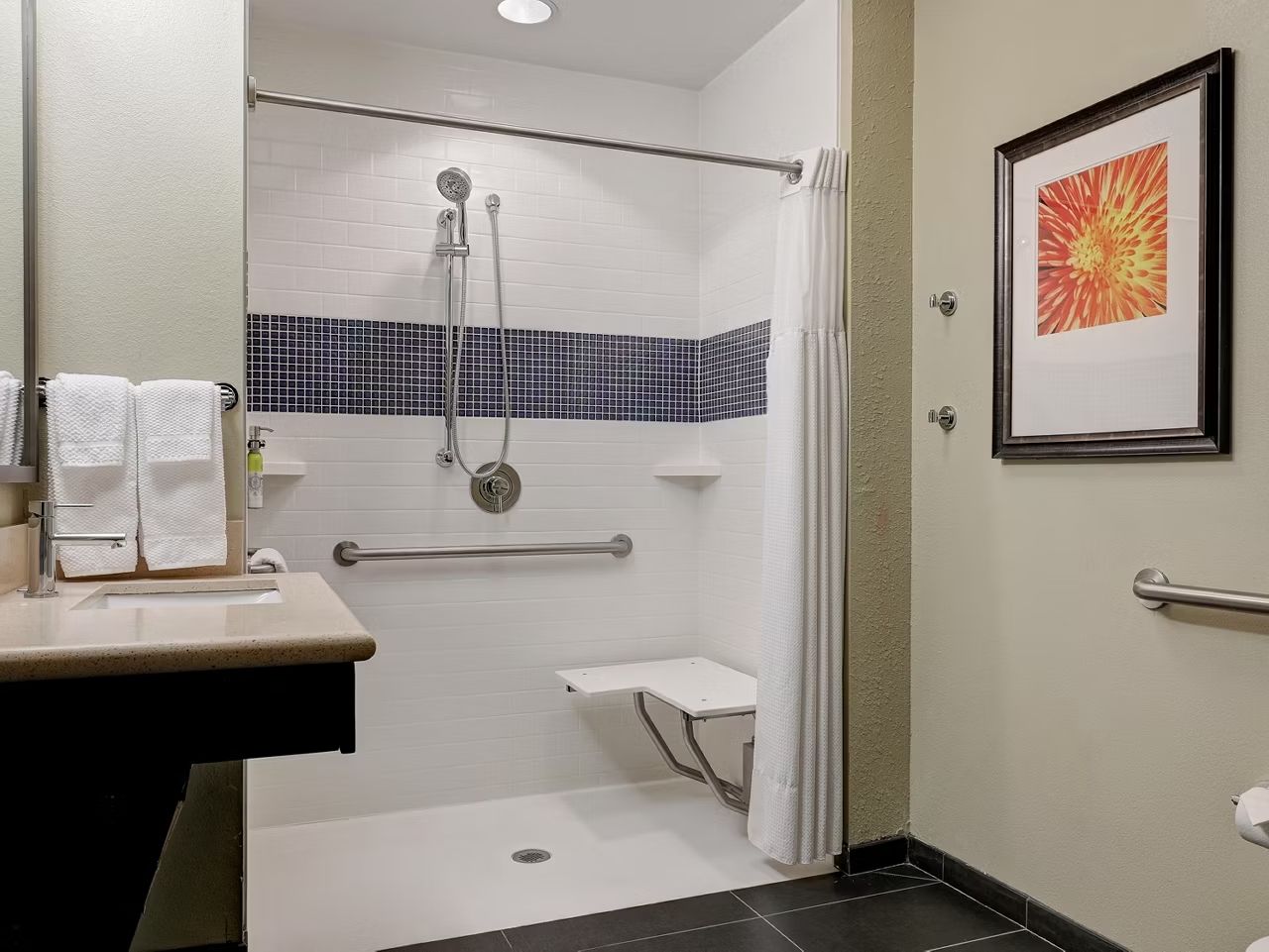 image Accessible roll-in shower with grab bars for safety.