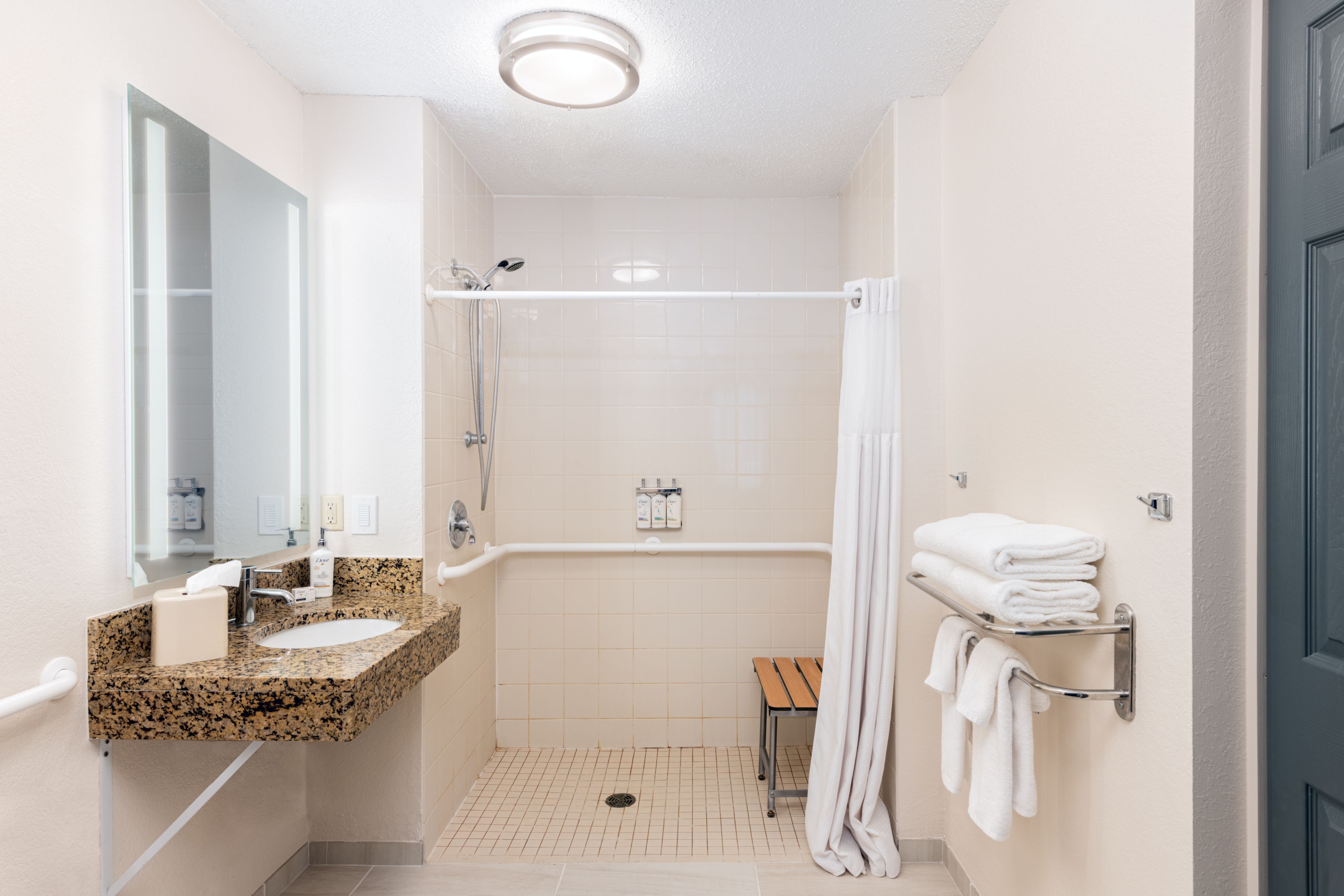 image Accessible bathroom with roll-in shower and grab bars.