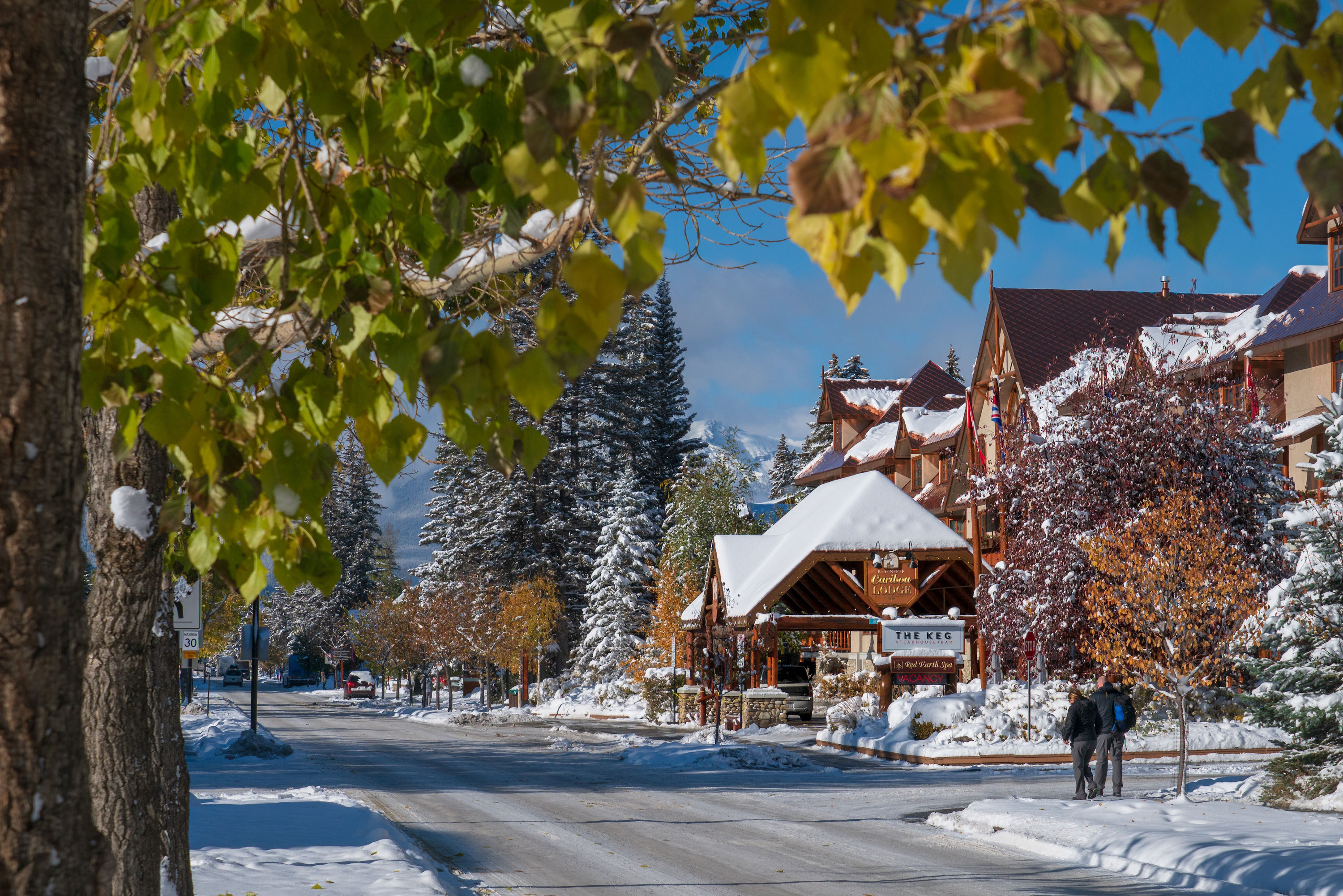image Our property is ideally located along Banff Ave.