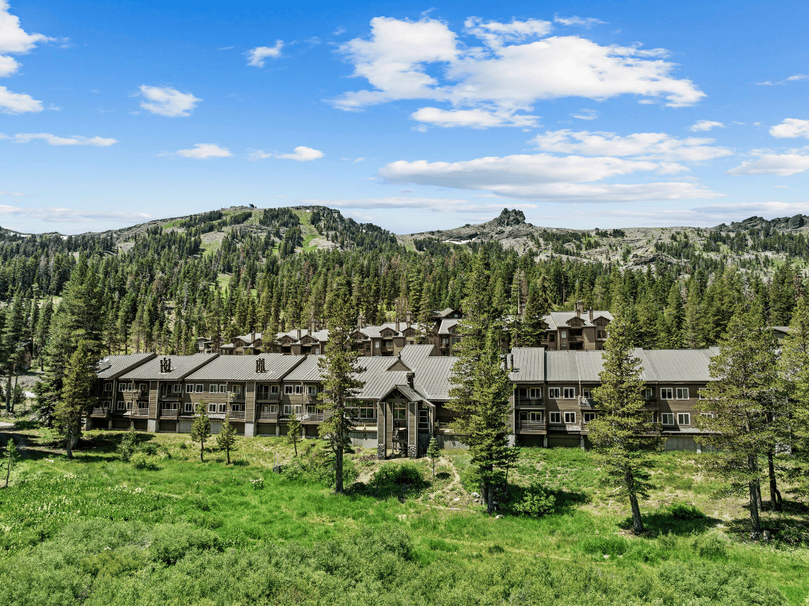 image Experience nature's beauty as you embrace mountain life in summer's lush greens.