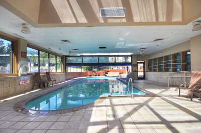 Dive into the lovely indoor/outdoor pool!