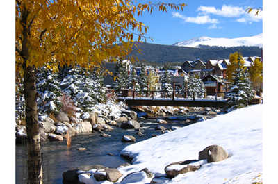 A picturesque pathway along the river's edge, inviting a peaceful winter stroll.