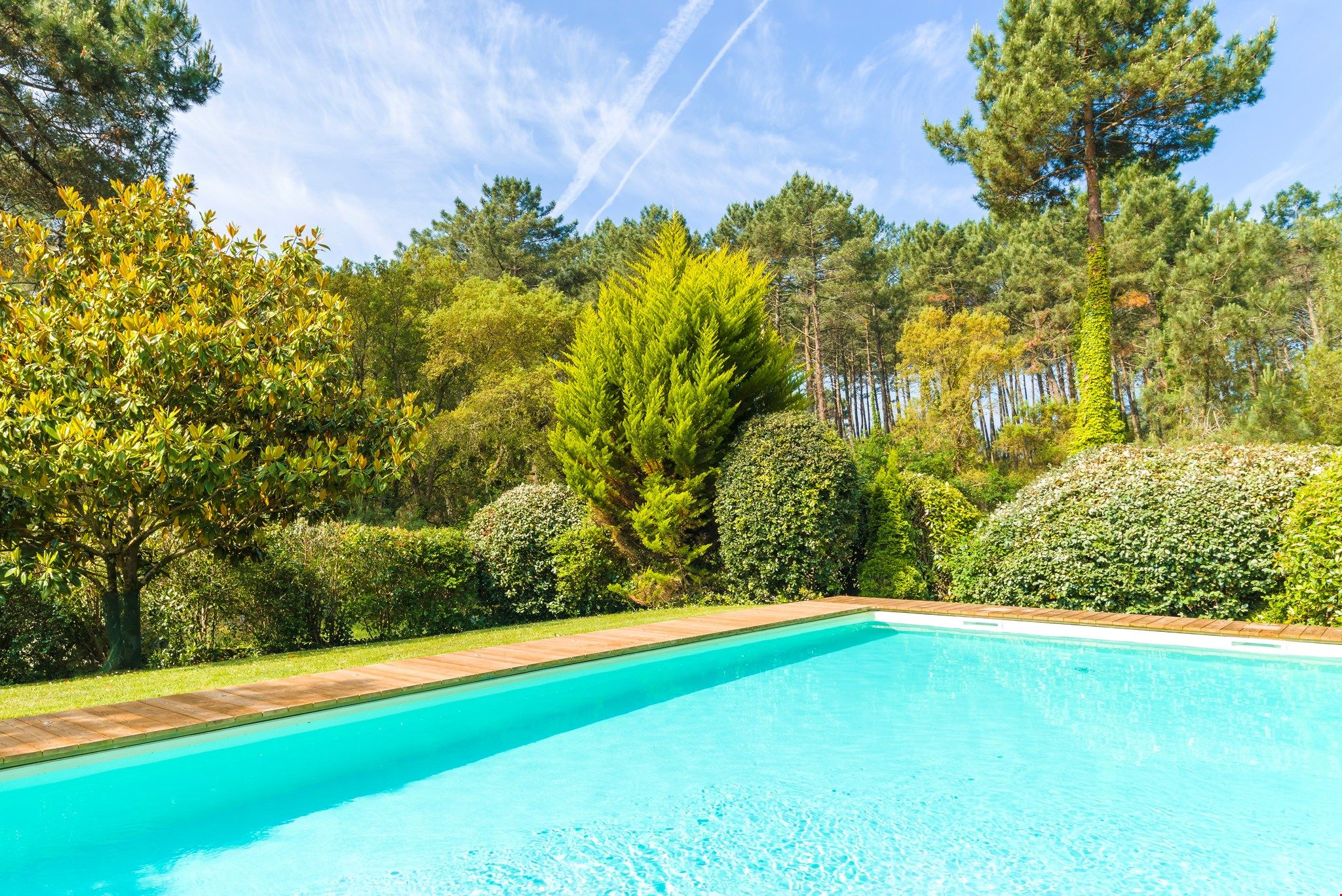 image Luxurious pool and breathtaking nature!