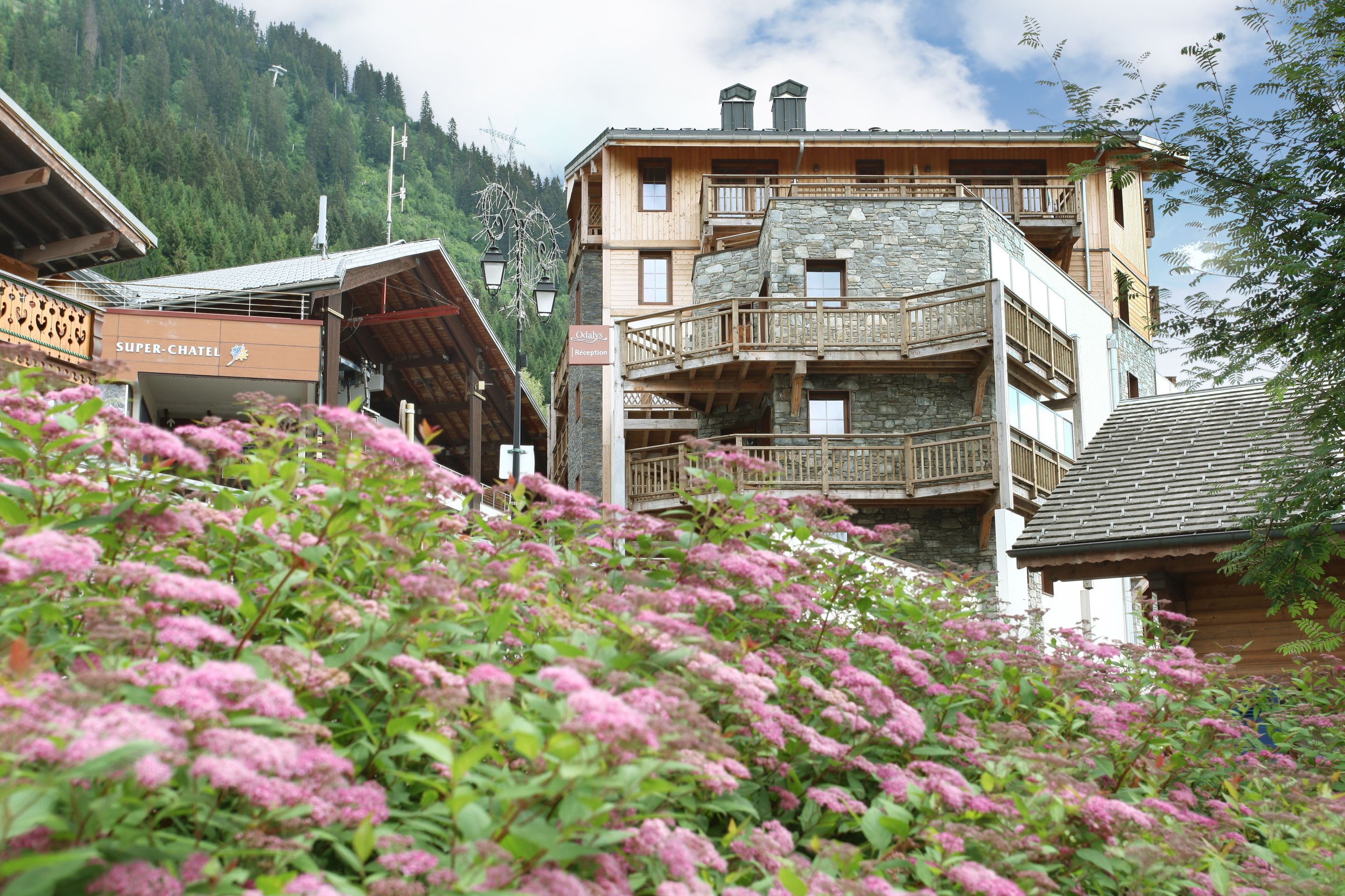 image Summer in Châtel brings lush Alpine meadows and the gondola stays busy with hikers and paragliders heading into the Portes du Soleil.
