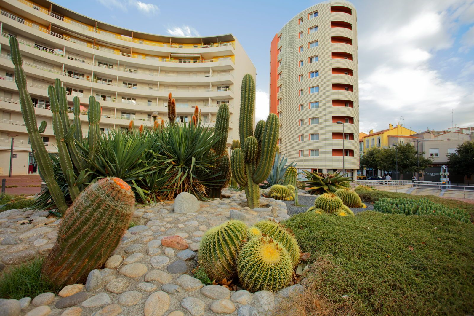 image Landscaped area features various cacti and plants in front of the multi-storey building