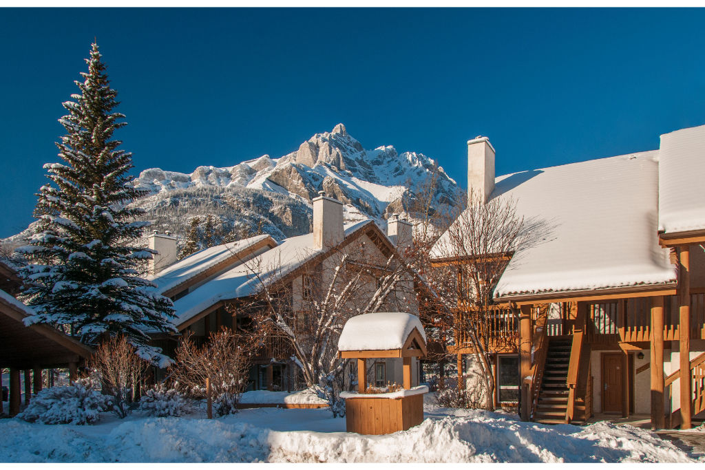 image This spectacular resort will have you feeling immersed in the mountains!