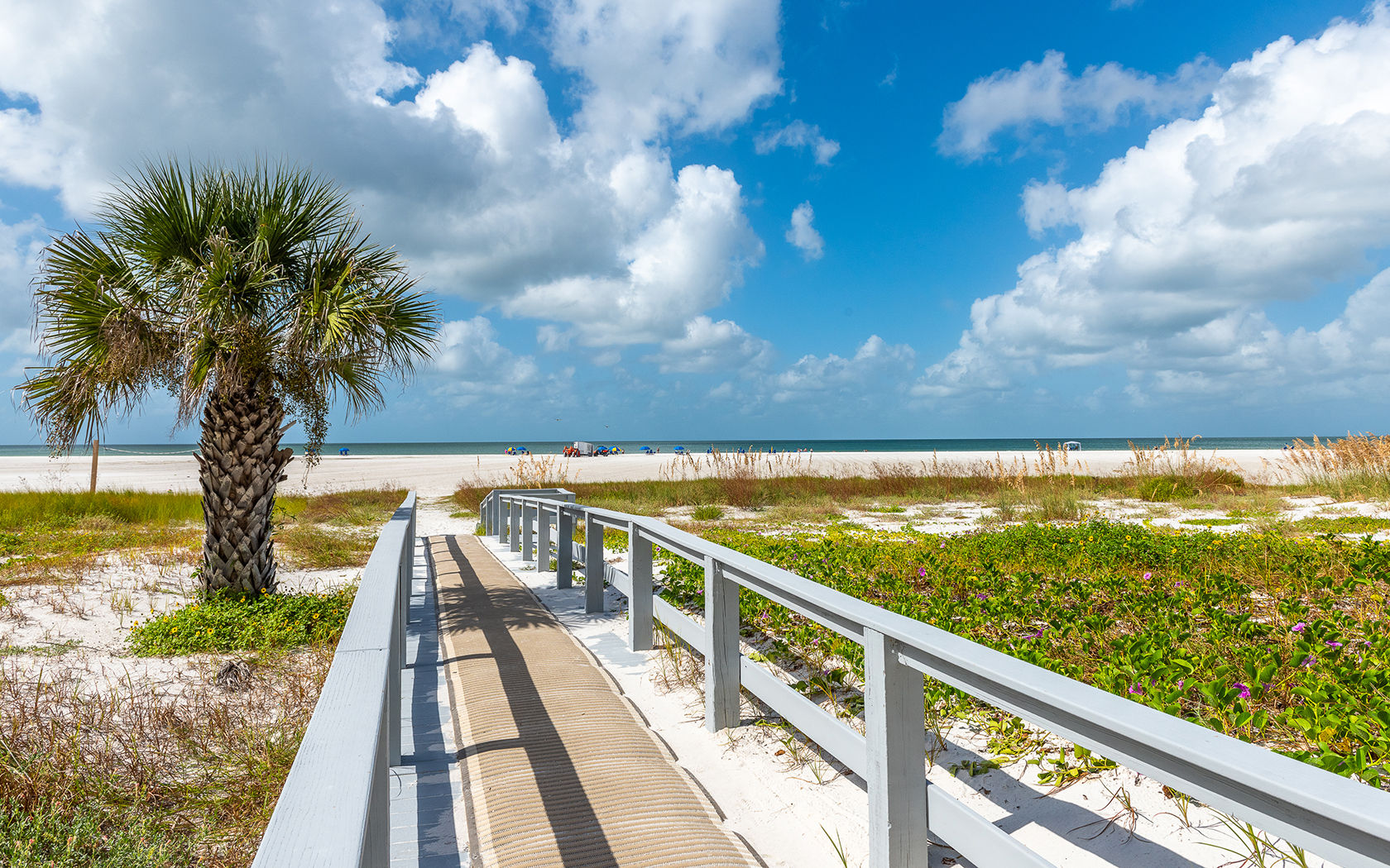 image Stroll along the boardwalk, shaded by swaying palm trees, leading you directly to the beach