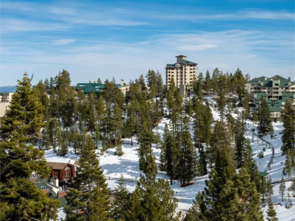 image Immerse yourself in the tranquility of evergreen forests blanketed in winter snow.