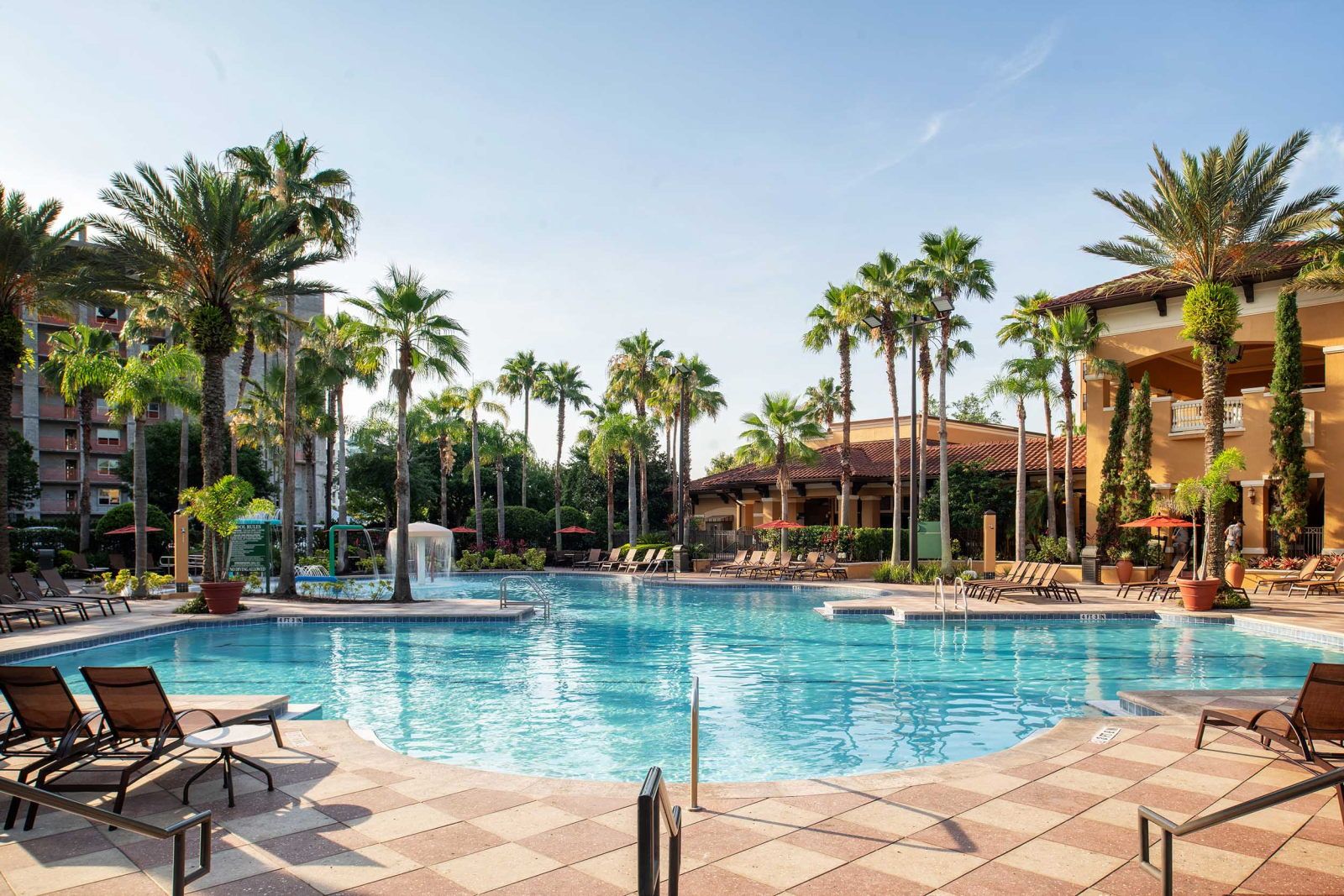 image Rows of dark sun loungers line the pool deck, with tall palms and the resort building stretching behind