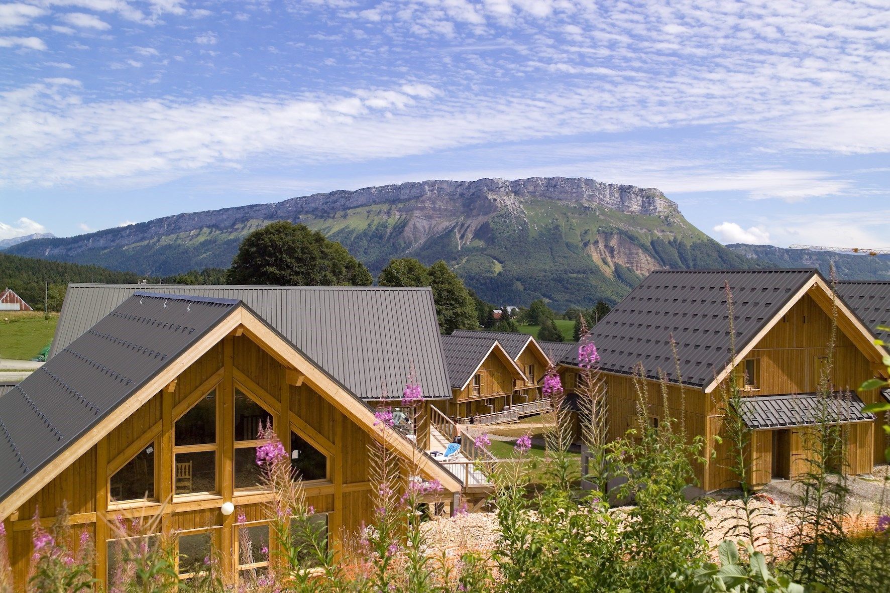 image Your next summer vacation starts here!