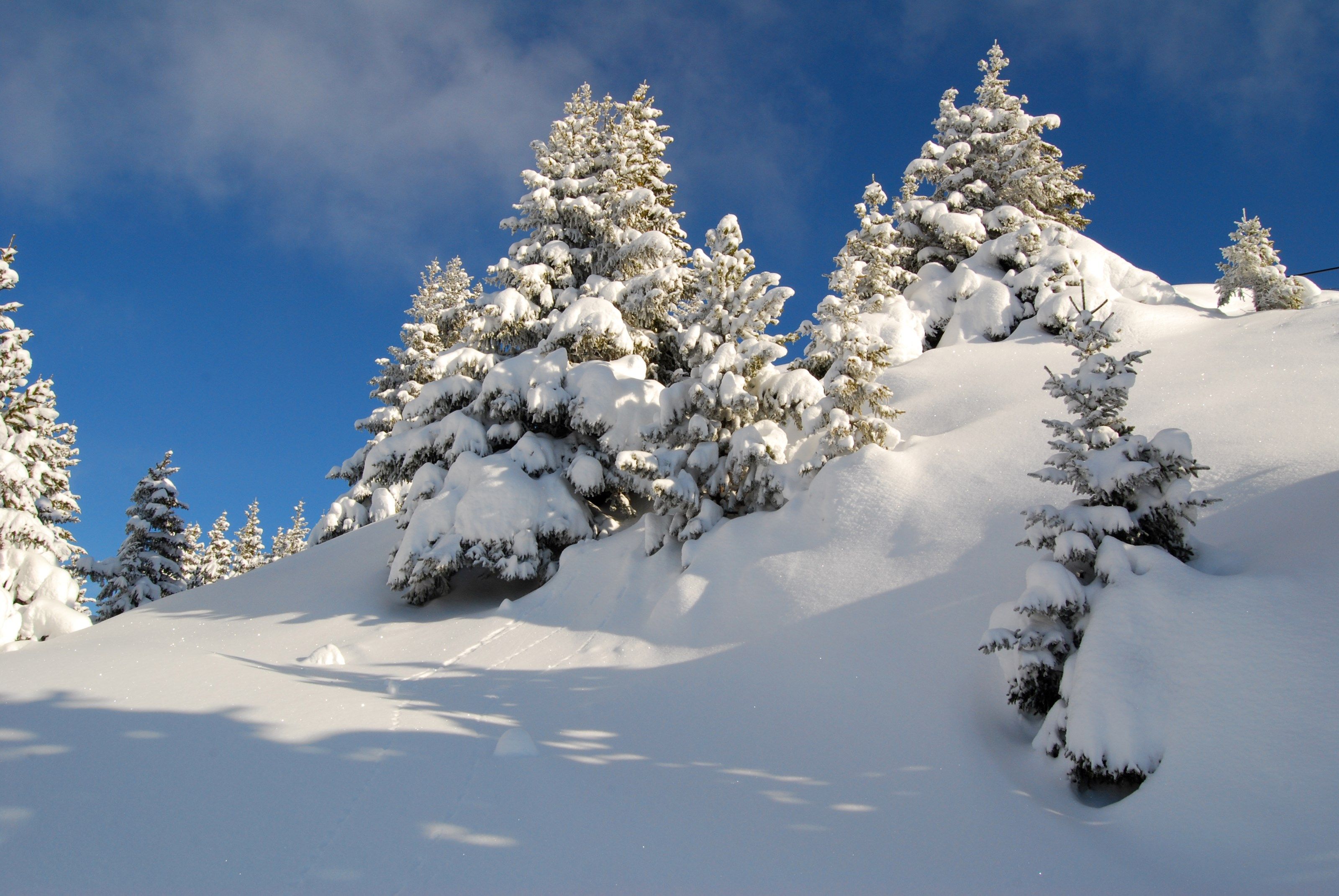 image It’s time to start your next ski adventure!