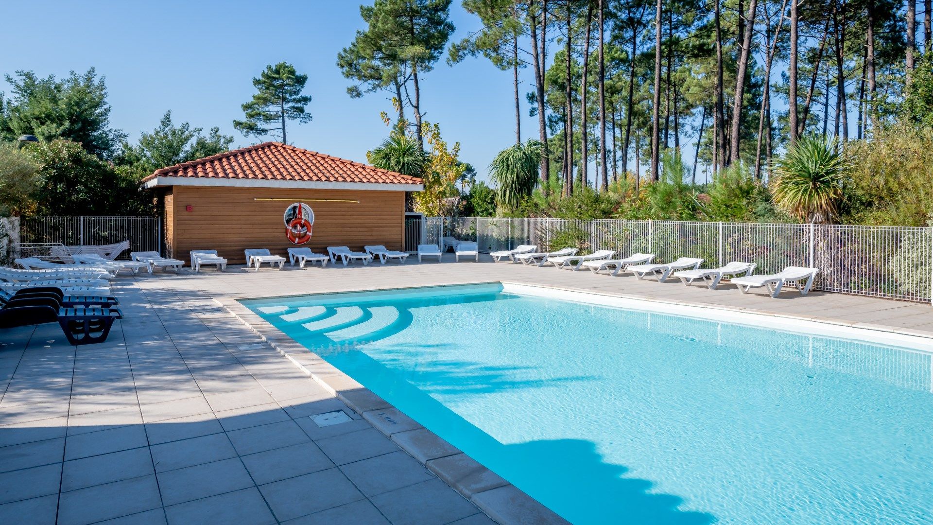 image Lounge by the pool in the sunshine.