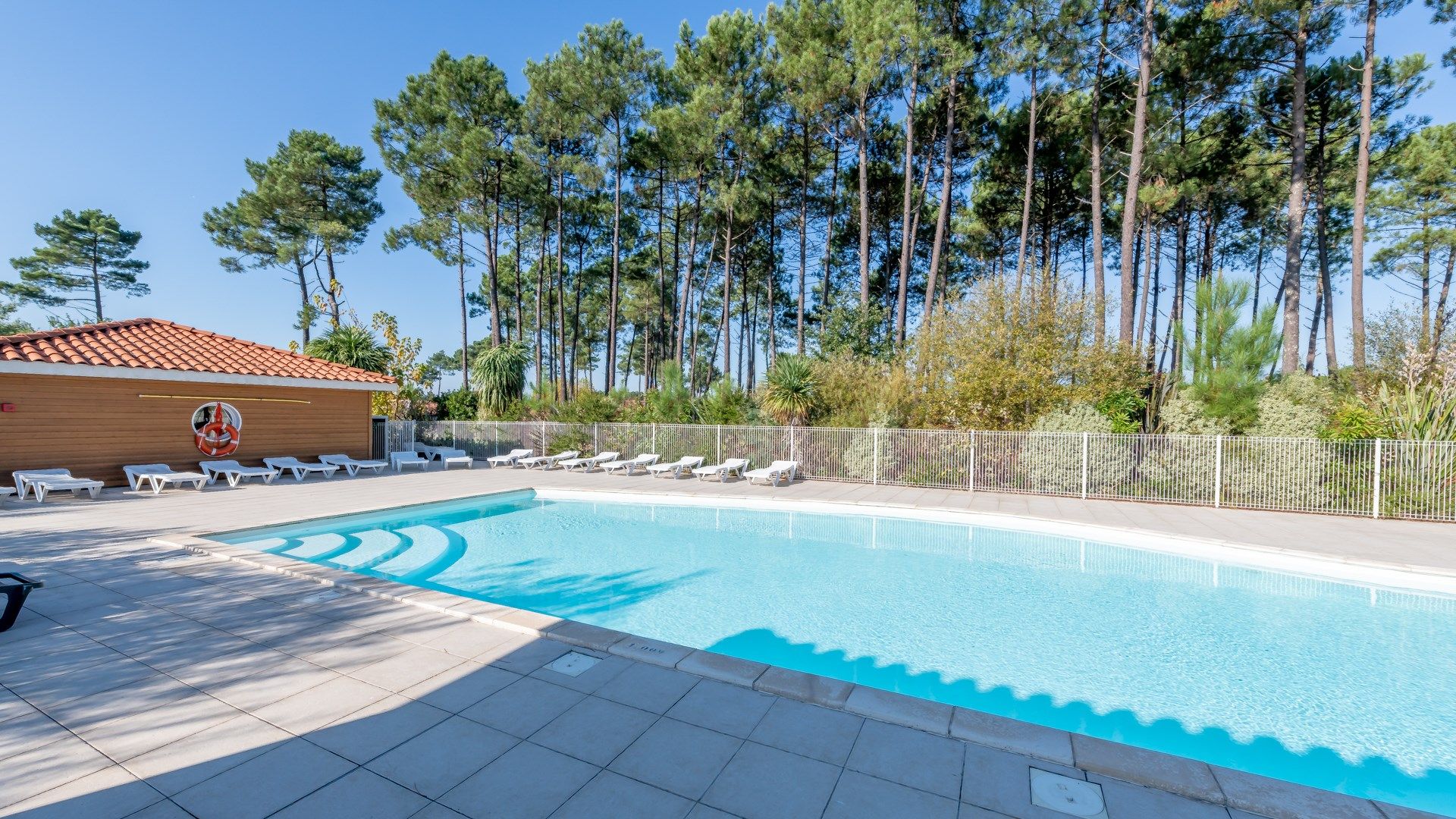 image Luxurious pool and breathtaking nature!