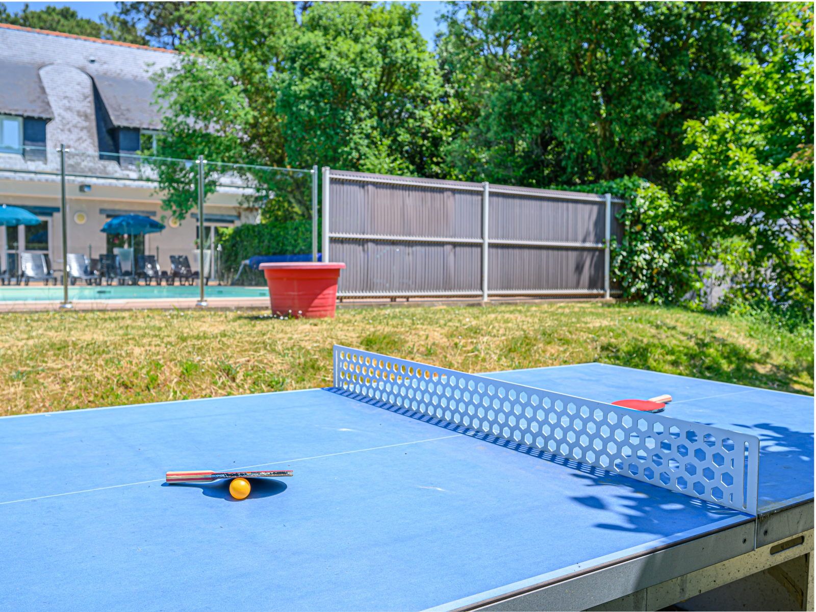image Blue outdoor ping pong table set up beside the pool — paddles and ball at the ready