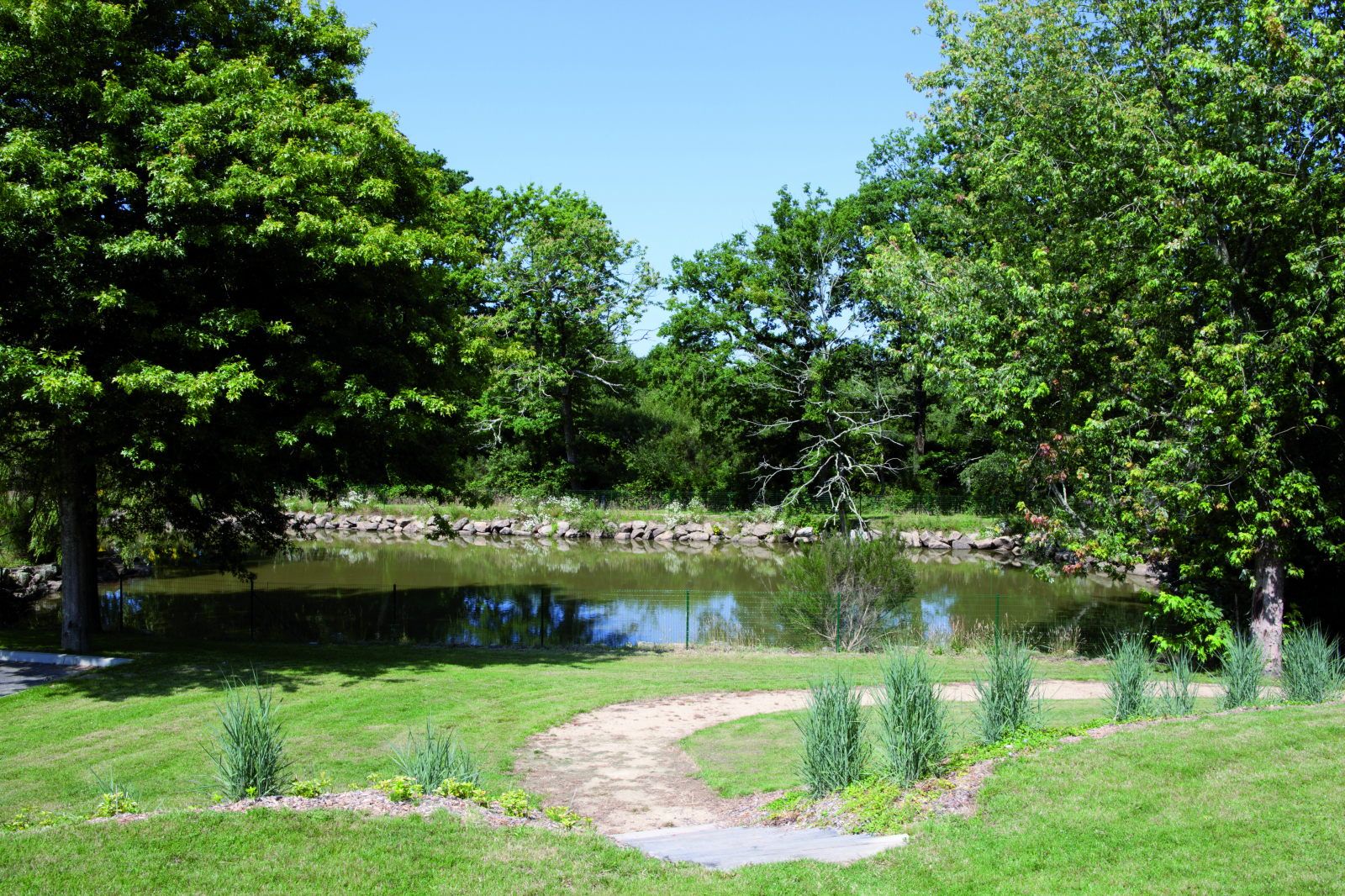 image A natural pond on the grounds, edged with granite rocks and ornamental grasses, tucked beneath mature trees