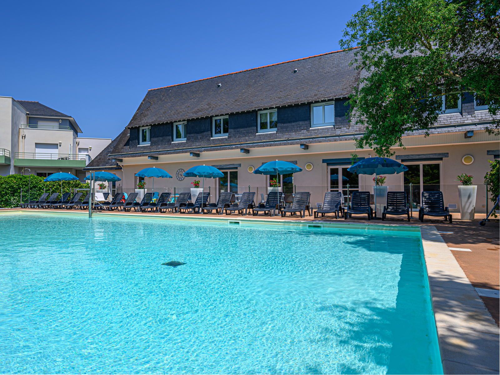 image Outdoor heated pool with a row of dark loungers and blue umbrellas along the terrace — open May through September