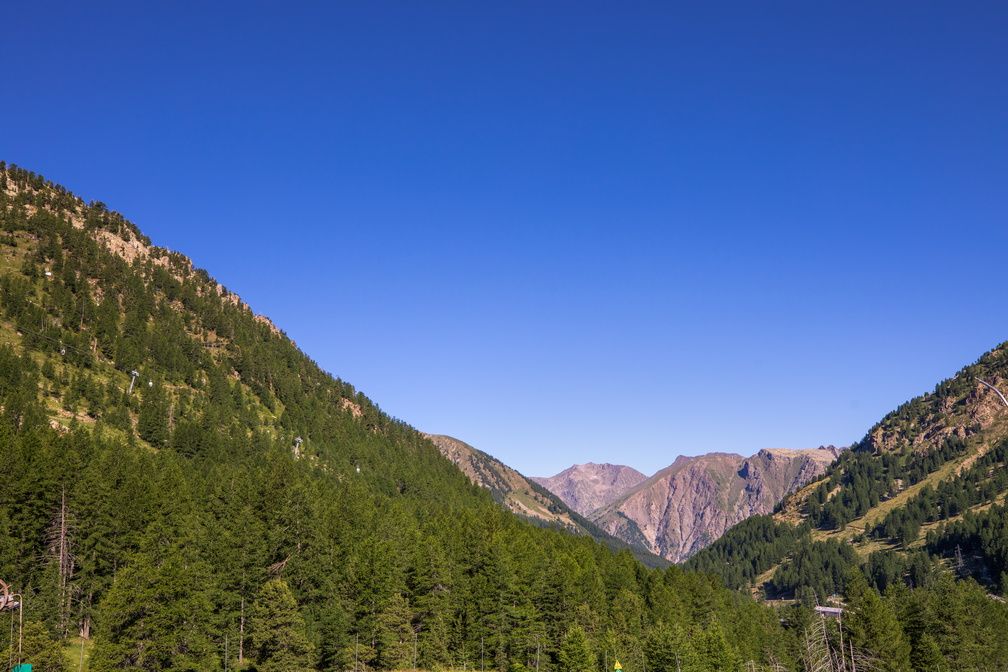 image Dense pine forest lining the valley below, with the Alpes-Maritimes peaks visible above the treeline.
