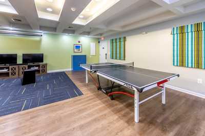 Play a game of ping pong.