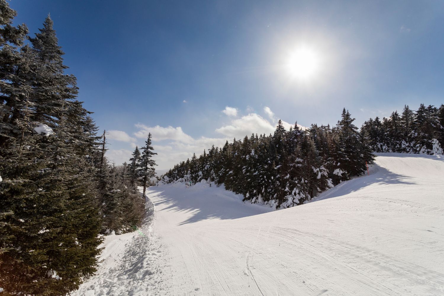 image A pristine, sunlit trail invites skiers and snowboarders to glide through the breathtaking landscape of Okemo Mountain, surrounded by frosty evergreens shimmering under the clear blue sky.