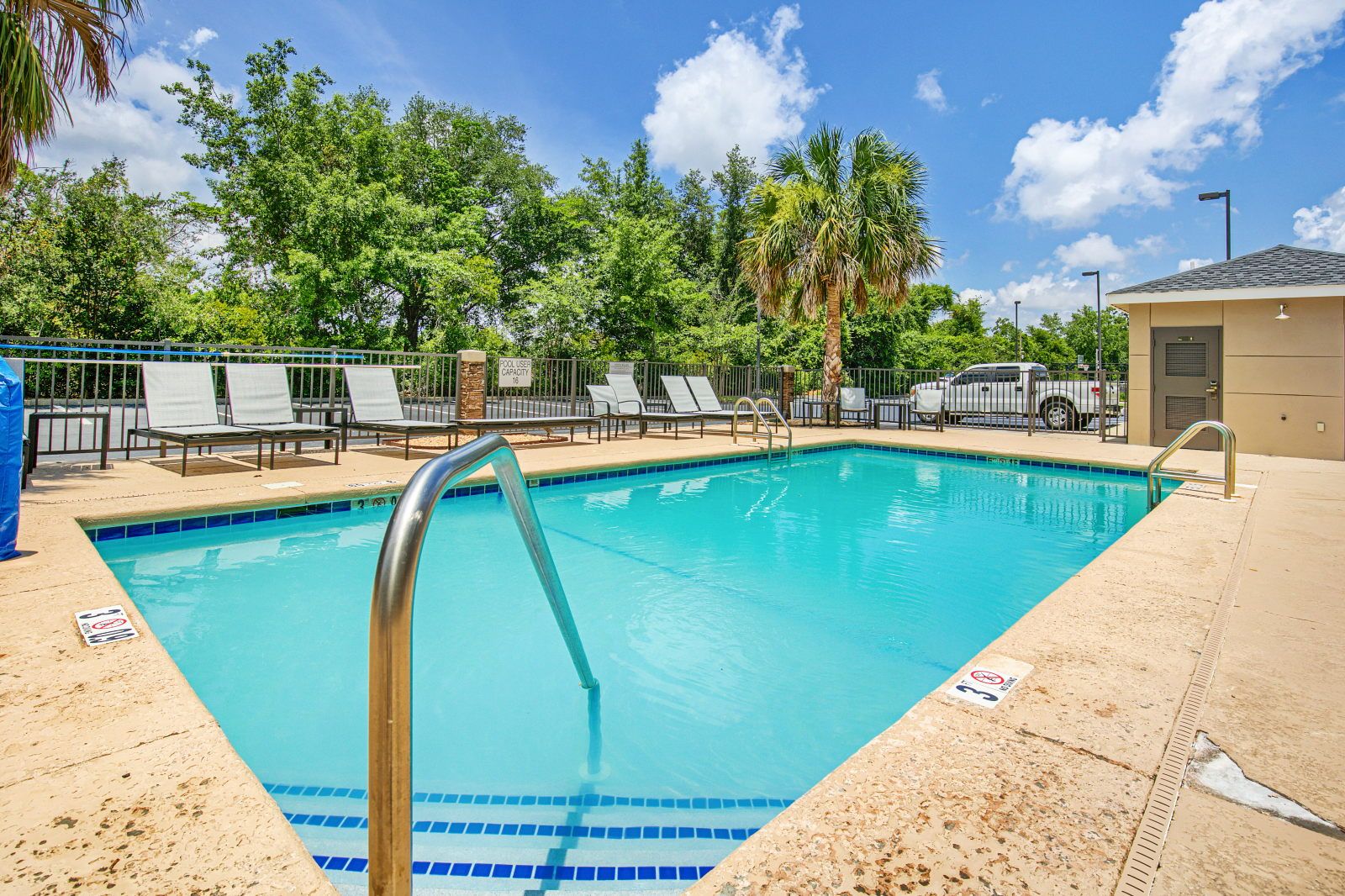 image Outdoor pool with lounge chairs and palm trees