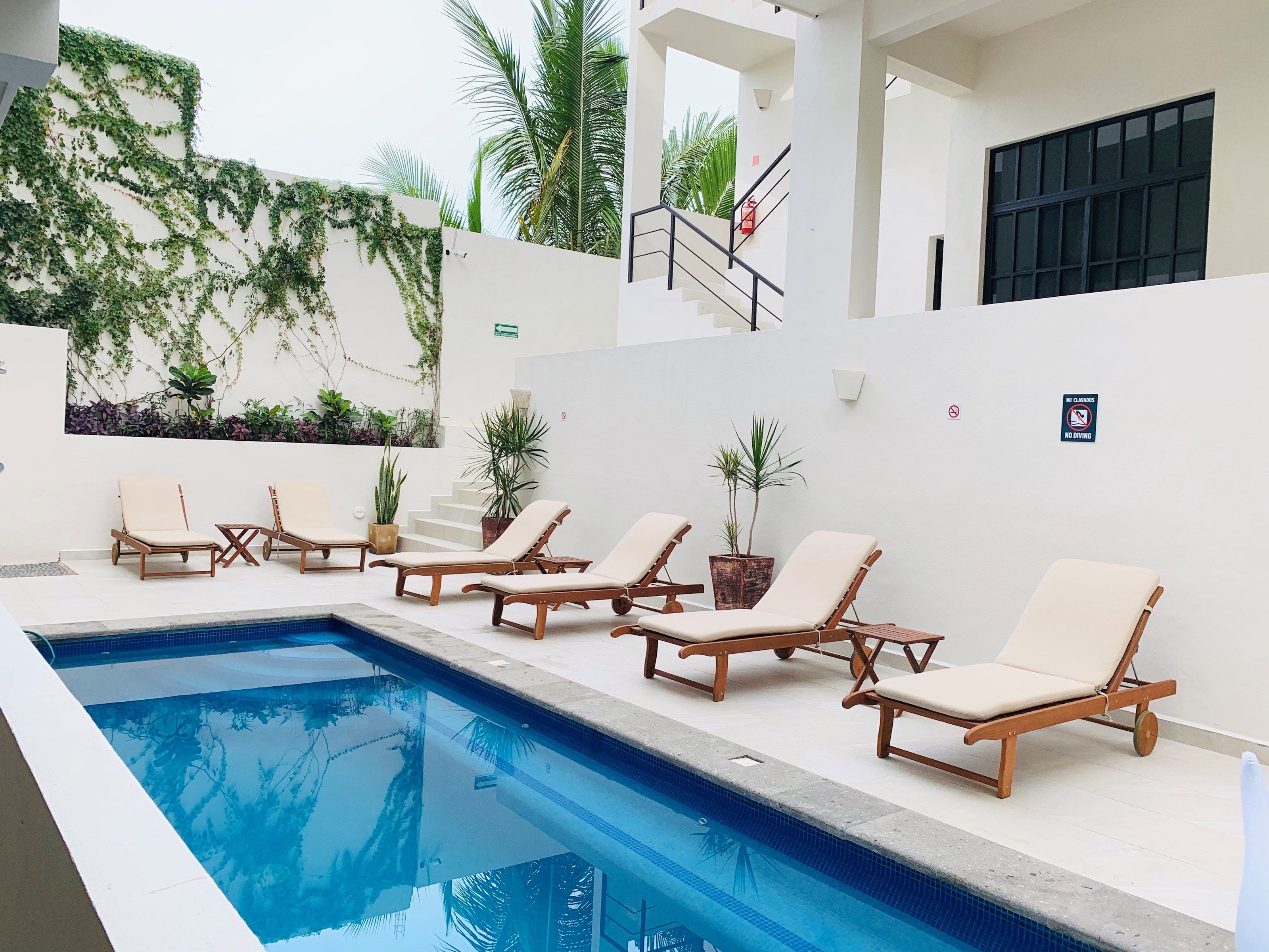 image Take a dip in the saltwater pool.