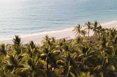 Welcome to paradise.