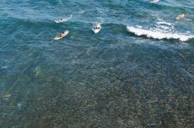 Surfers will love the break!