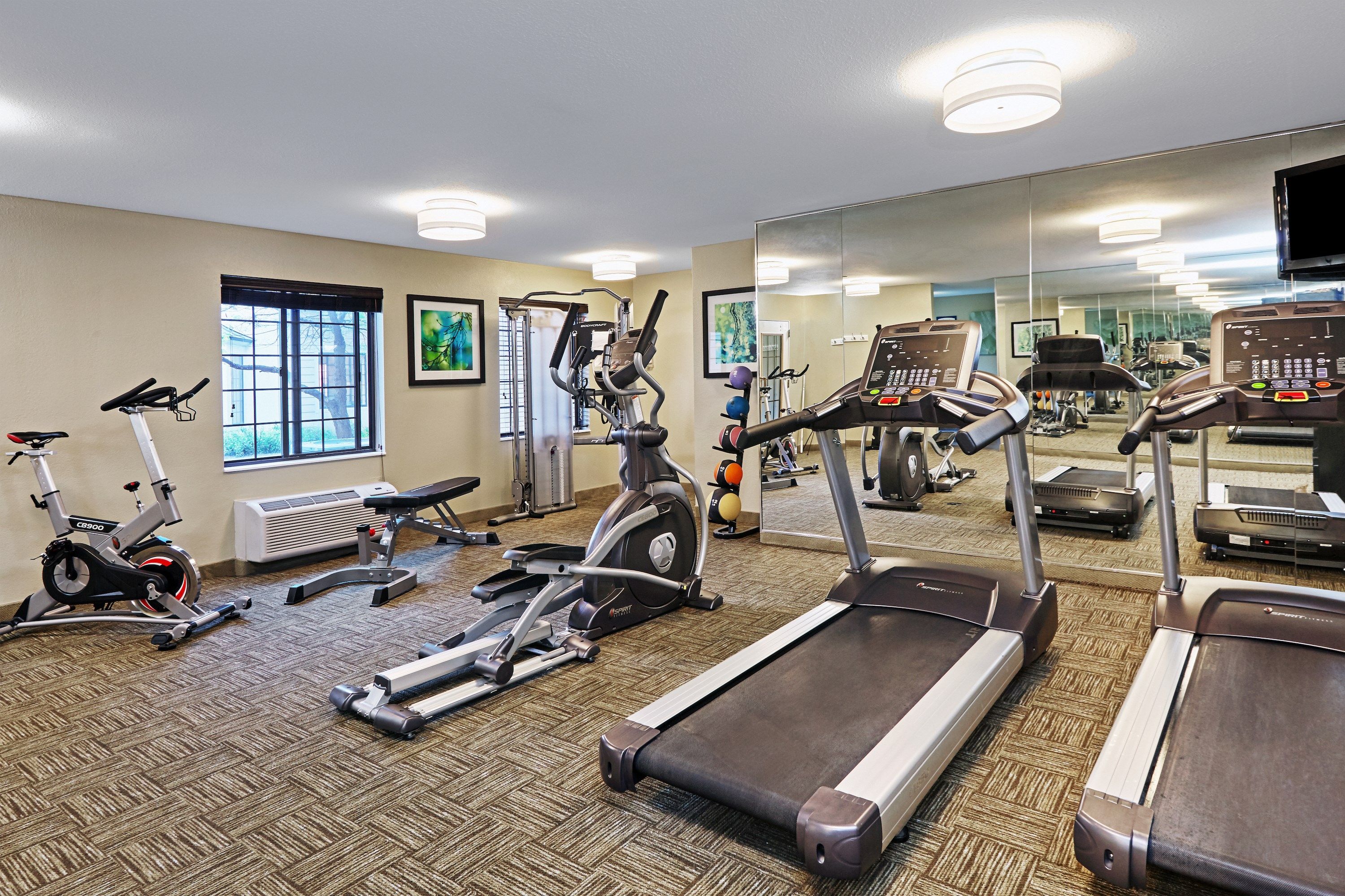image Focus on your fitness in a well-equipped gym featuring cardio machines and strength training gear.