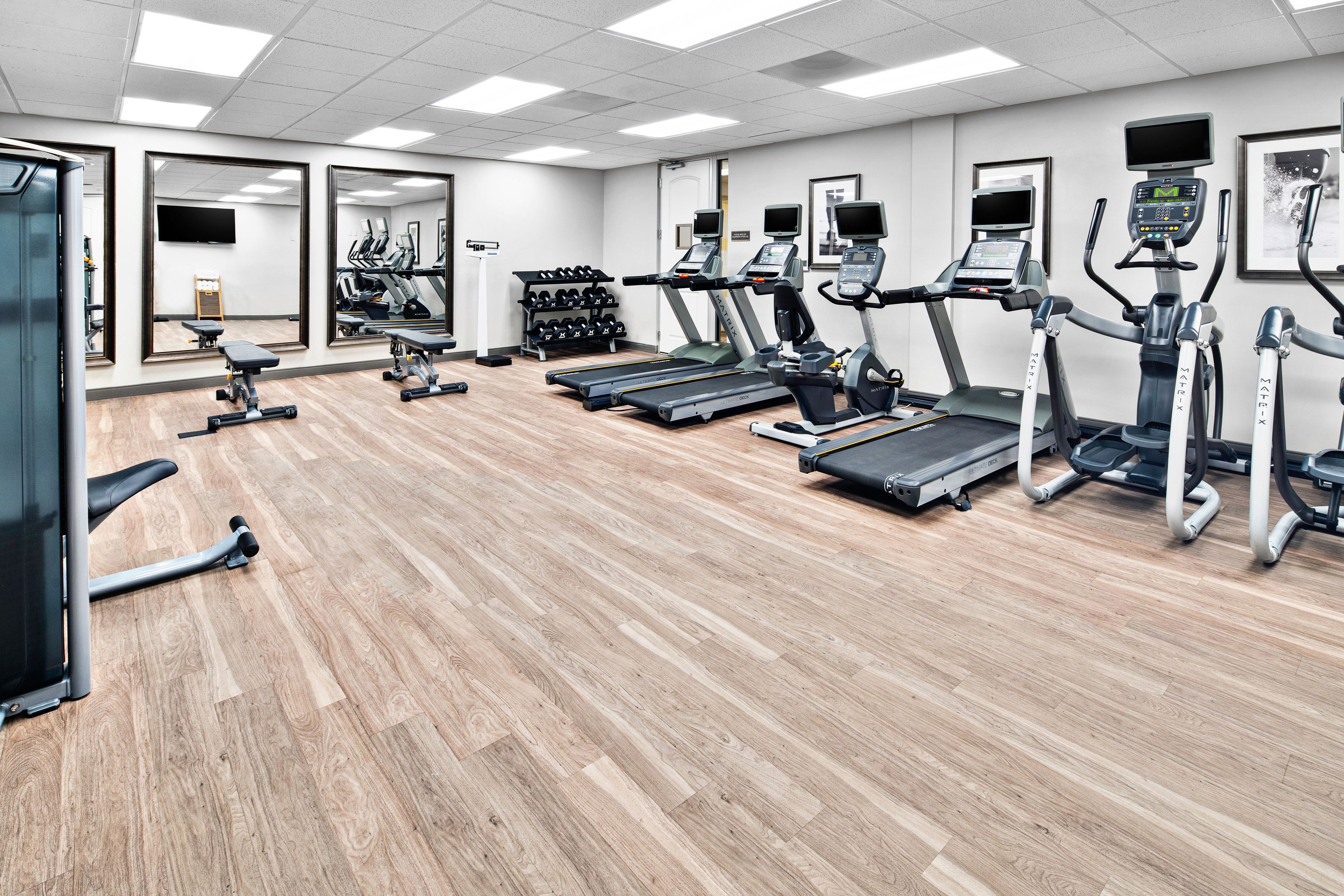 image Fully equipped fitness center with cardio and weight machines.