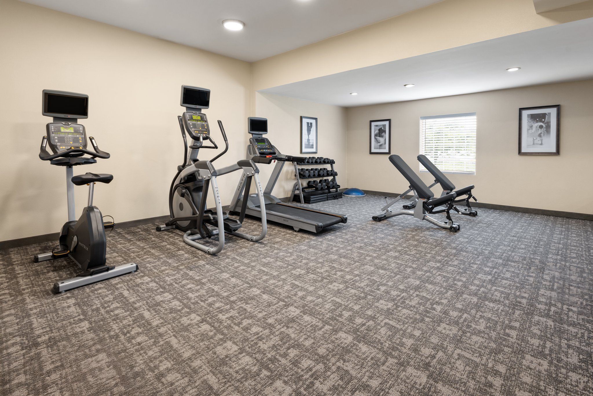 image Modern fitness center featuring cardio machines and strength equipment.