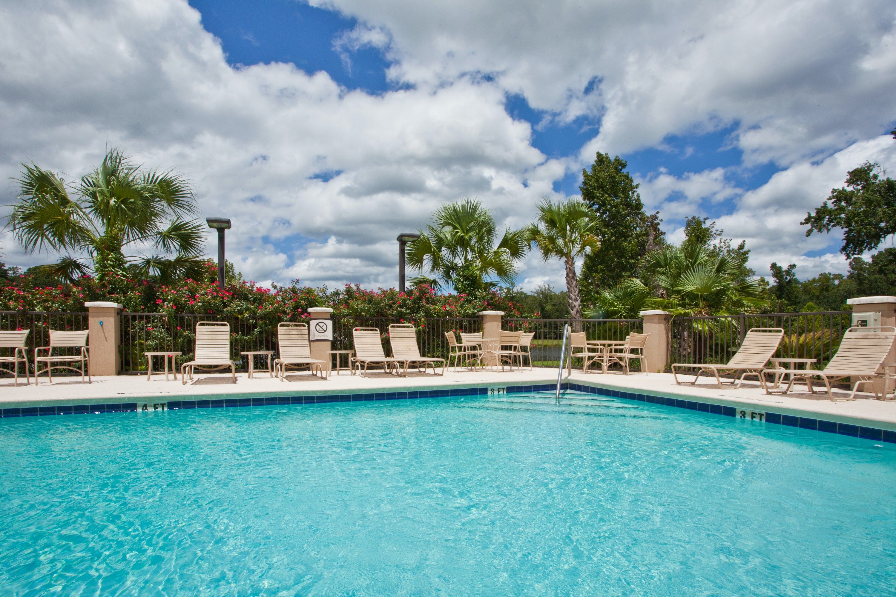 image Relax by the pool in the summer.